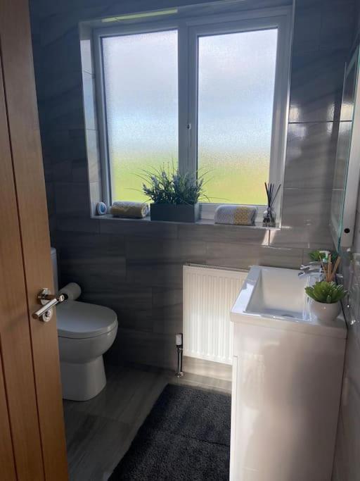 Appartamento 'Little Acre' Perfect For Business Or Pleasure Portadown Esterno foto